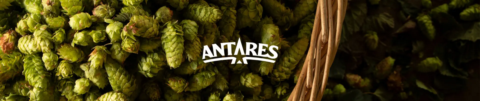 Antares