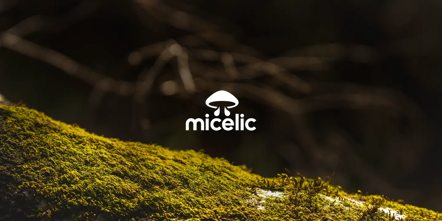 Micelic